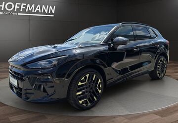 Cupra Terramar 9.263 km 51.990 &euro; Sundern 59846